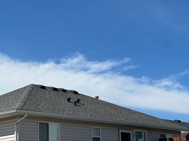 Fast & Reliable Emergency Roof Repairs in Lacoochee, FL